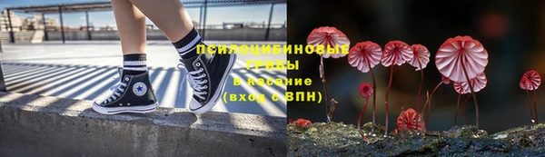 стаф Верхнеуральск