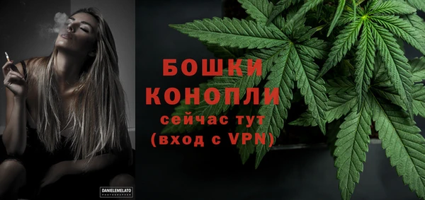 ГАЛЛЮЦИНОГЕННЫЕ ГРИБЫ Верхний Тагил