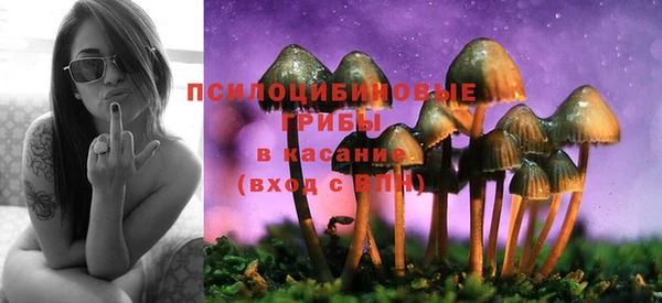 стаф Верхнеуральск